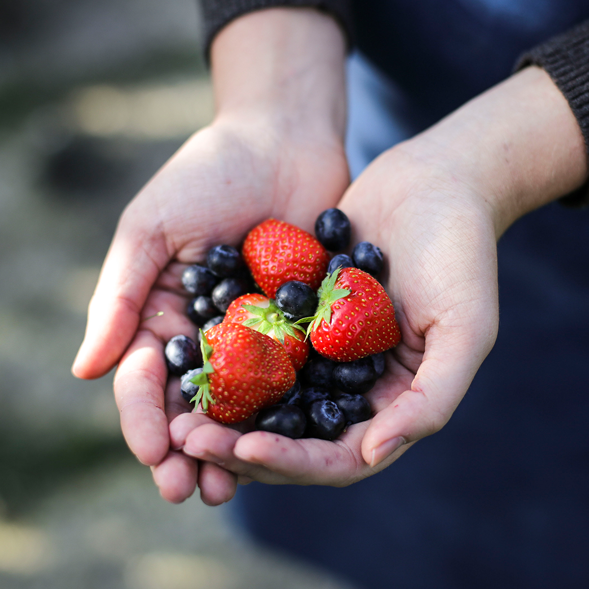 forest fruits in hand