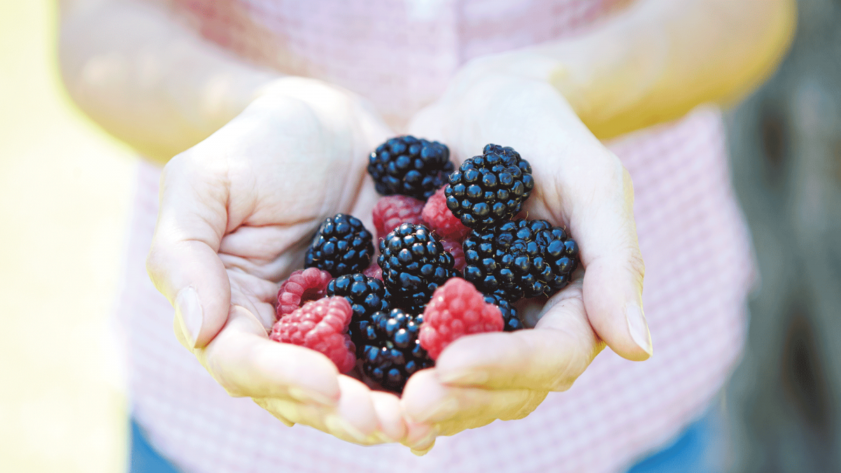 Fresh fruits in the hand